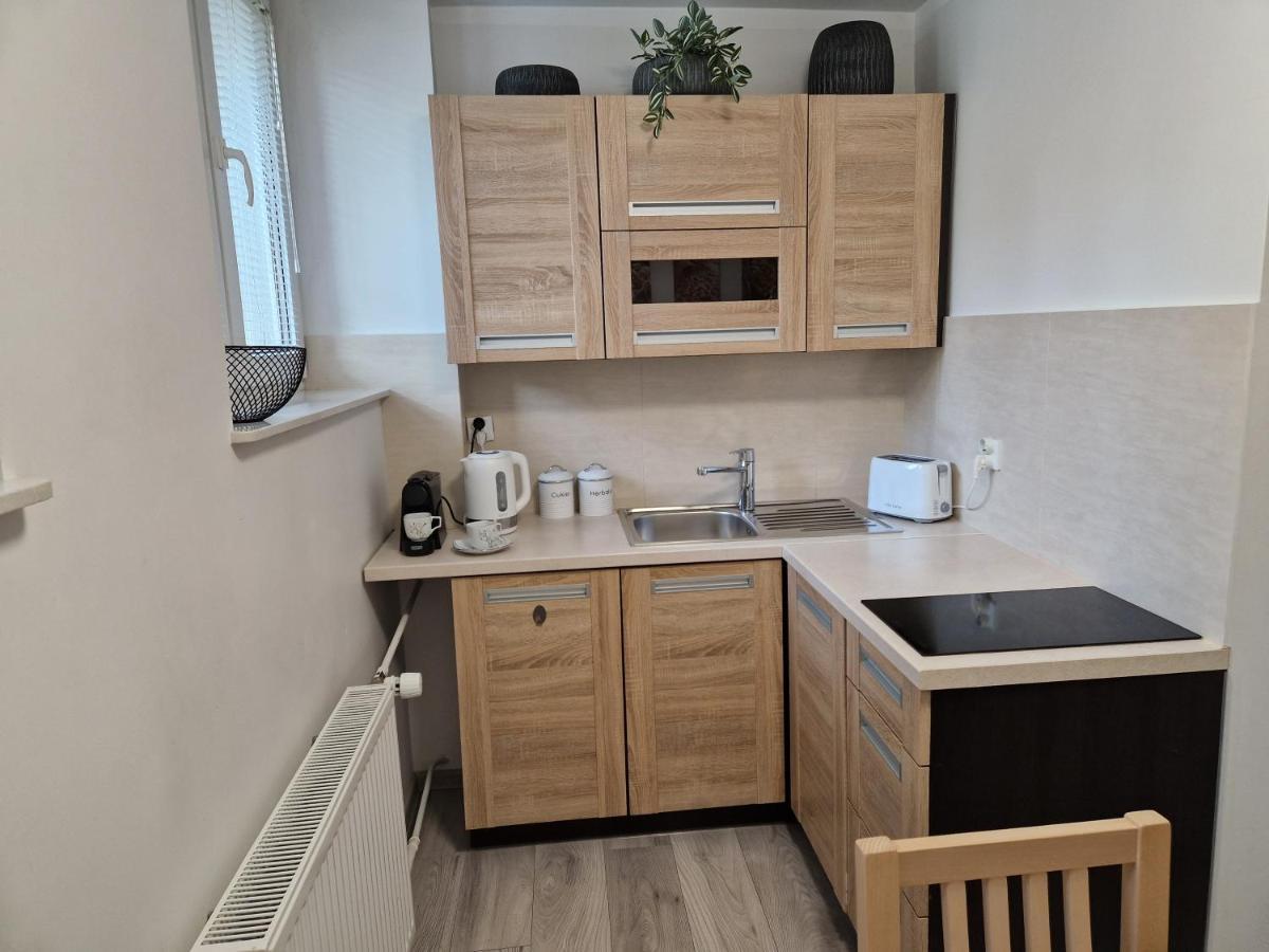 Apartament W Srodmiesciu Sanok Eksteriør billede